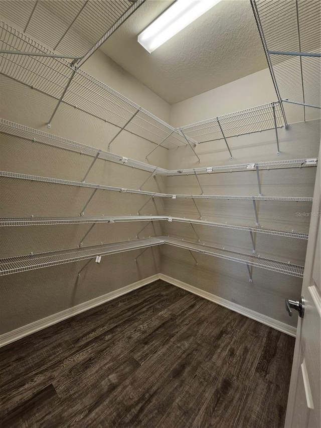 walk in closet featuring hardwood / wood-style floors