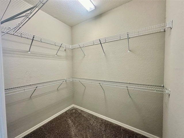 spacious closet featuring carpet floors