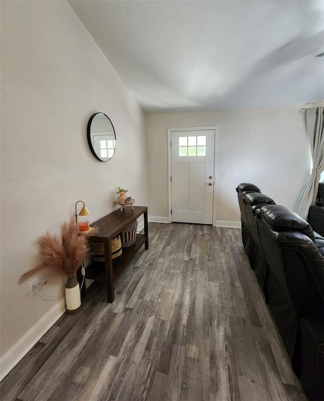 entrance foyer with dark wood-type flooring