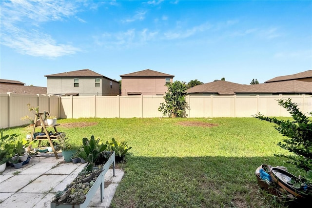 view of yard featuring a patio area