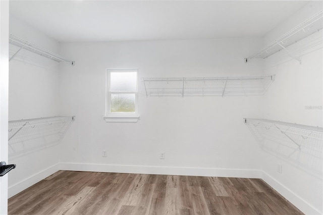 spacious closet featuring hardwood / wood-style flooring