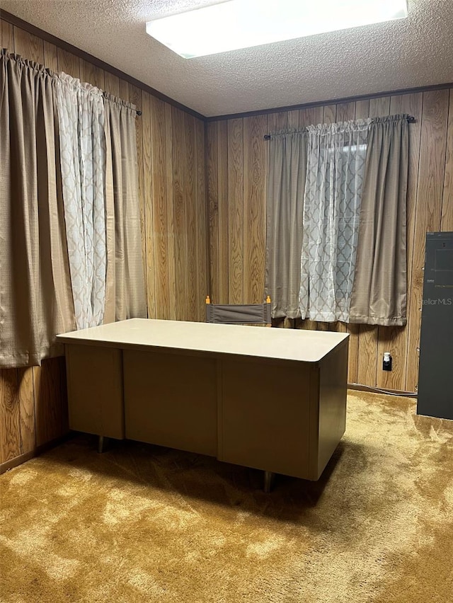 interior space with light colored carpet, a textured ceiling, and wooden walls