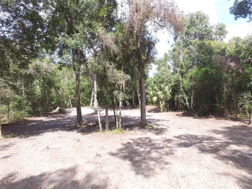 11581 E Hillcrest Ct, Floral City, FL 34436 - photo 2