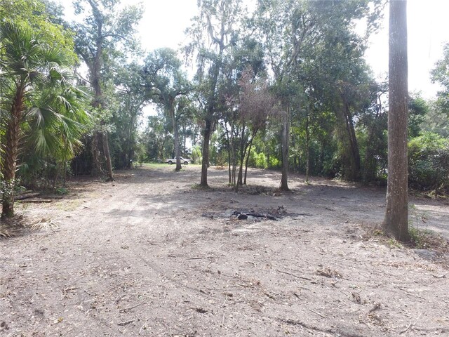 11581 E Hillcrest Ct, Floral City, FL 34436 - photo 3