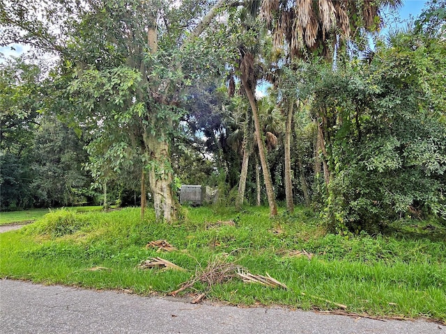 234 Granada Blvd, Fort Myers FL, 33905 land for sale