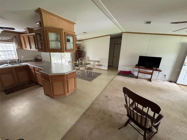 kitchen with sink, ceiling fan, a wealth of natural light, and kitchen peninsula