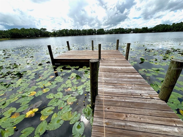 dock area with a water view