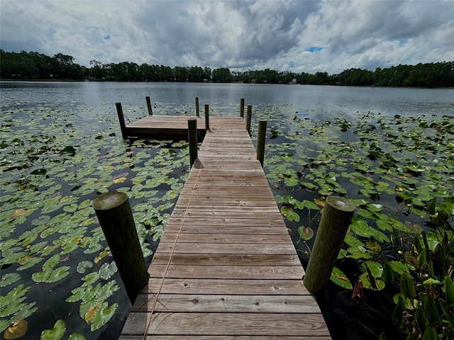 view of dock featuring a water view