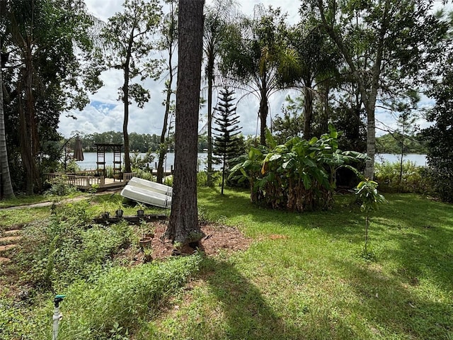 view of yard with a water view and a boat dock