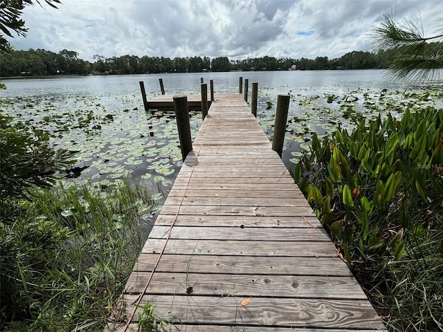 dock area featuring a water view