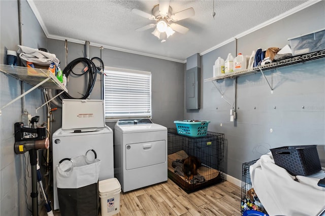 laundry area with ornamental molding, a textured ceiling, light hardwood / wood-style floors, and independent washer and dryer