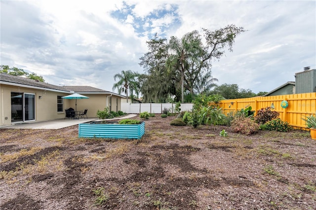 view of yard featuring a patio area