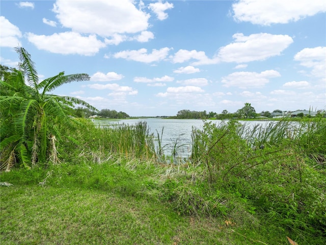 property view of water