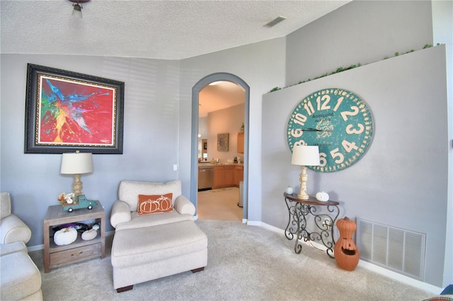 living area featuring vaulted ceiling, a textured ceiling, and carpet floors