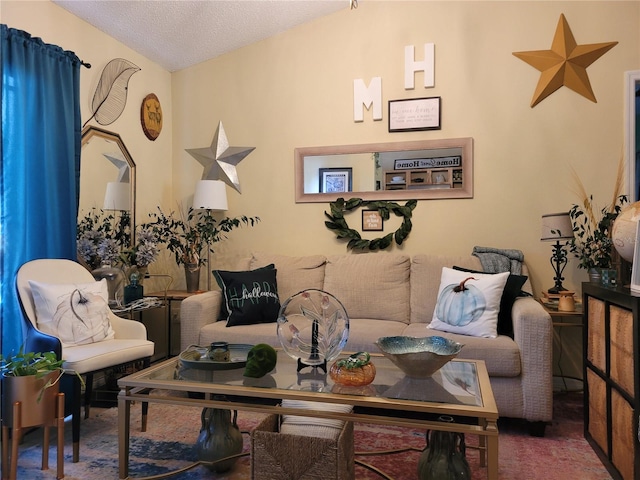 carpeted living room with a textured ceiling