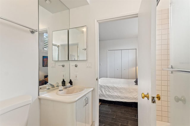 bathroom with toilet and vanity