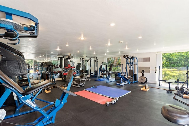 workout area featuring a wealth of natural light