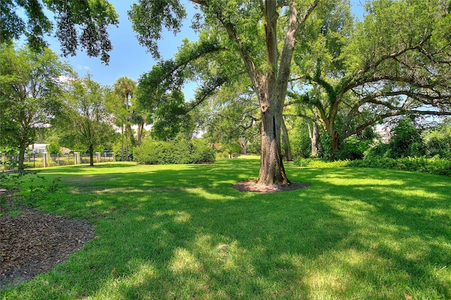 view of yard