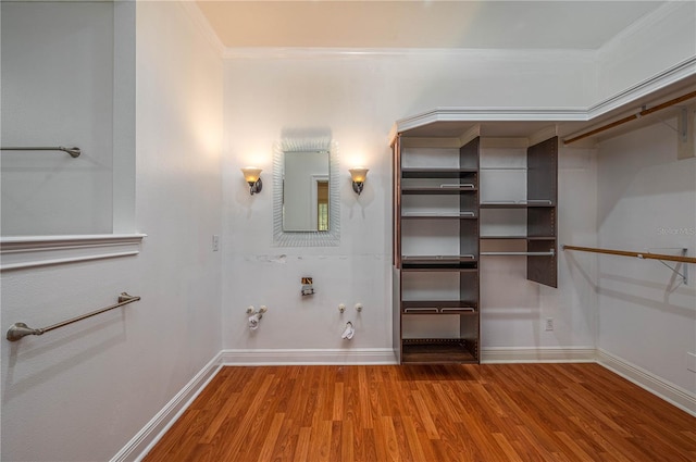 spacious closet with hardwood / wood-style flooring