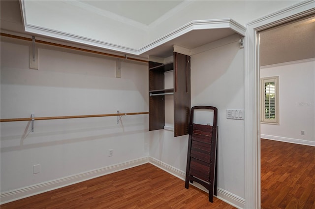 spacious closet featuring hardwood / wood-style flooring