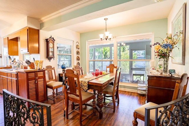 dining area featuring ornamental molding, a chandelier, a textured ceiling, and dark hardwood / wood-style flooring