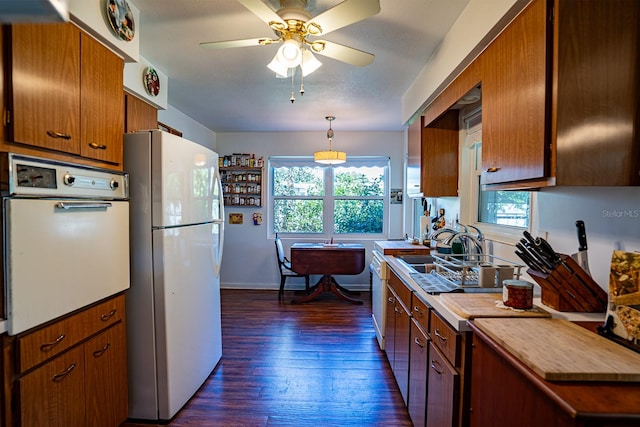 kitchen featuring dark hardwood / wood-style flooring, decorative light fixtures, plenty of natural light, and white appliances