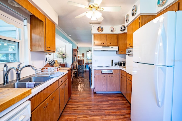 kitchen featuring a healthy amount of sunlight, ornamental molding, dark hardwood / wood-style floors, and white appliances