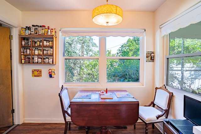 dining room featuring dark hardwood / wood-style flooring and plenty of natural light