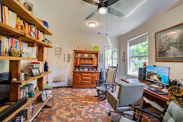 office featuring crown molding and ceiling fan