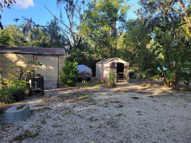 view of yard featuring a shed