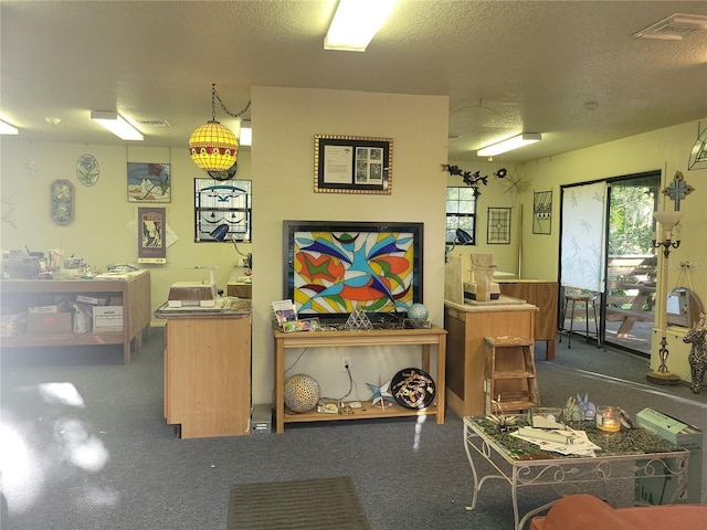 miscellaneous room with plenty of natural light and a textured ceiling