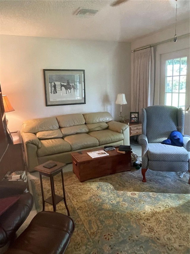 living room with a textured ceiling