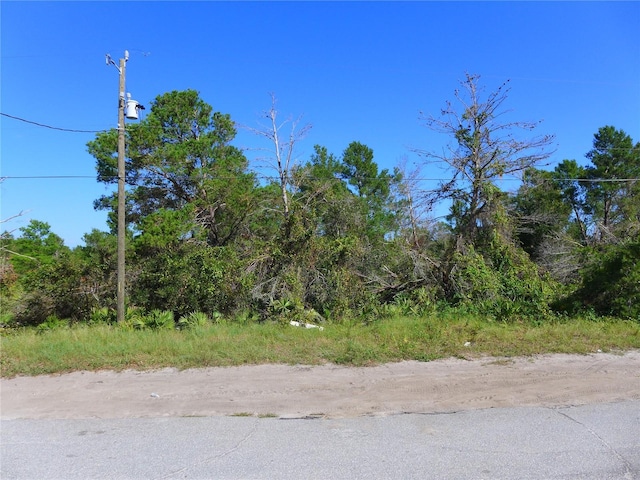 Listing photo 2 for Jackson St, Lake Wales FL 33859