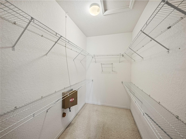 view of walk in closet