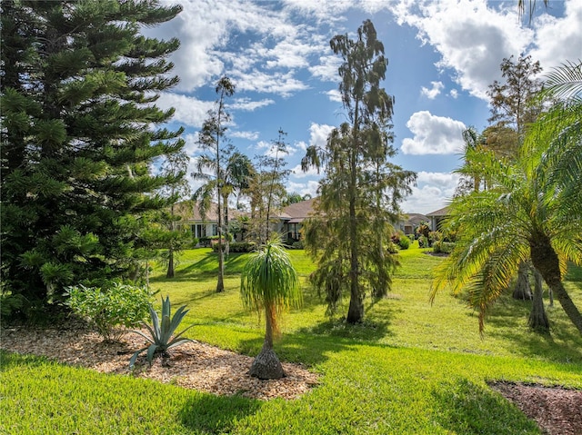 view of property's community featuring a lawn