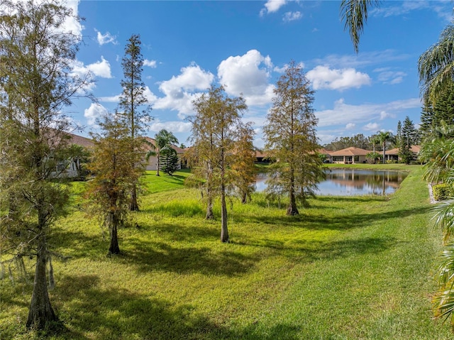 view of yard with a water view