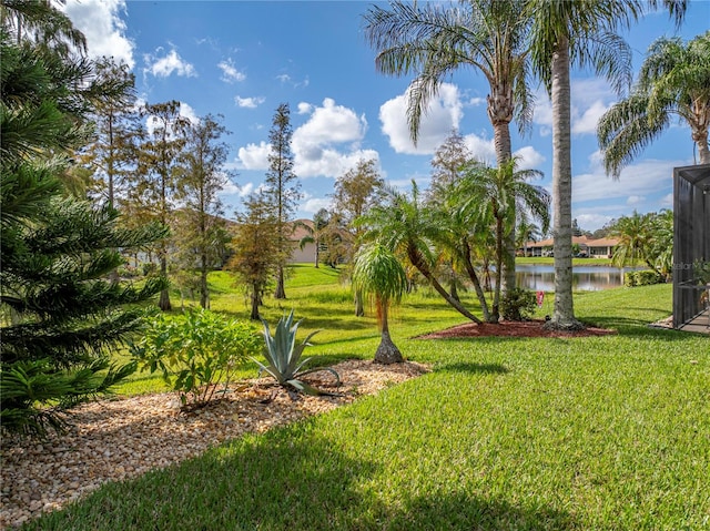 view of yard with a water view