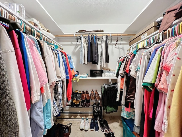 view of spacious closet