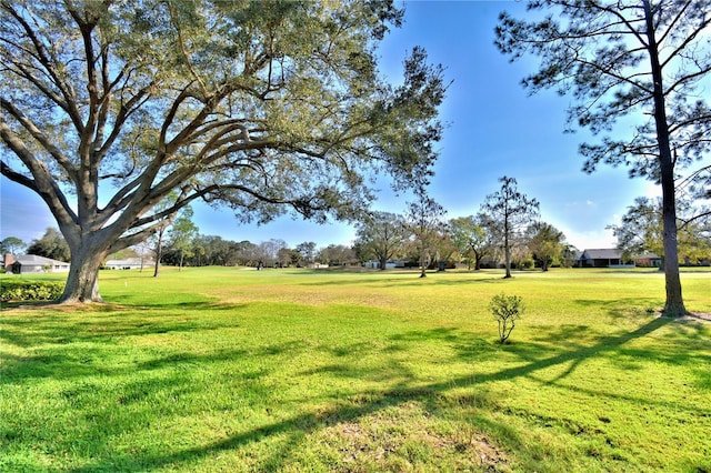 view of property's community with a lawn