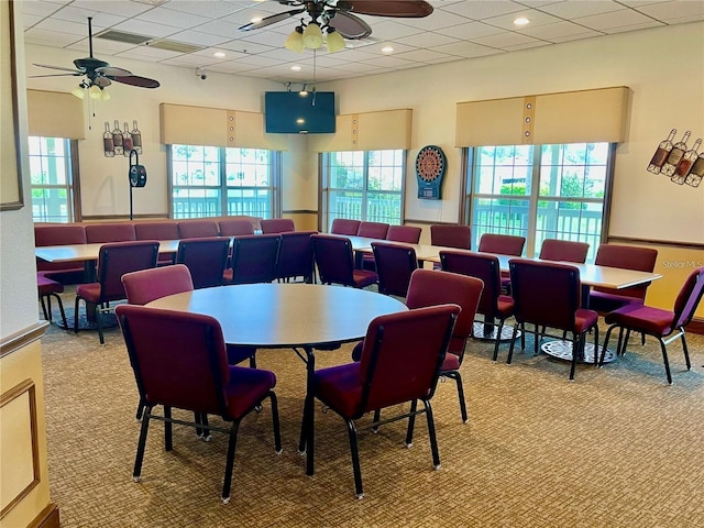 carpeted dining area with a drop ceiling and ceiling fan