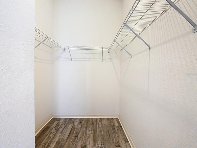 walk in closet featuring hardwood / wood-style flooring