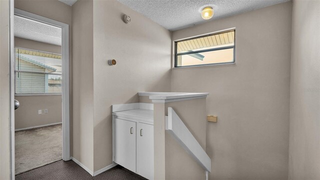 bathroom featuring a healthy amount of sunlight and a textured ceiling