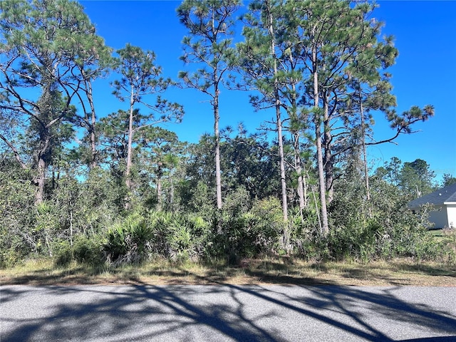 616 Poinciana Dr, Lake Wales FL, 33855 land for sale