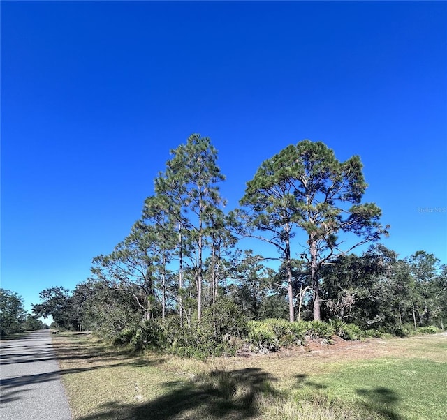 Listing photo 2 for 616 Poinciana Dr, Lake Wales FL 33855