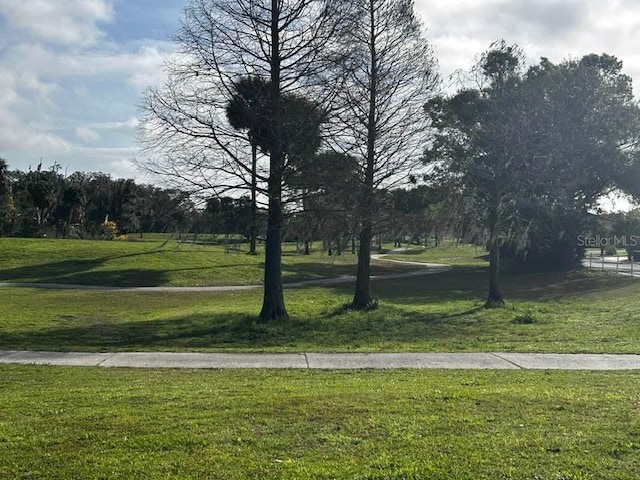 view of community featuring a yard