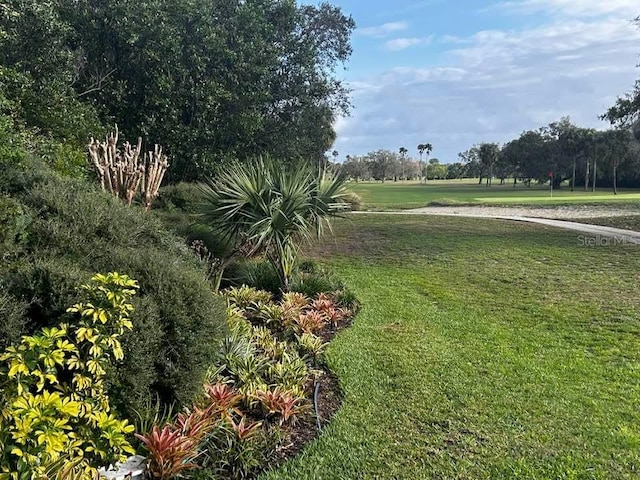 view of home's community featuring a yard