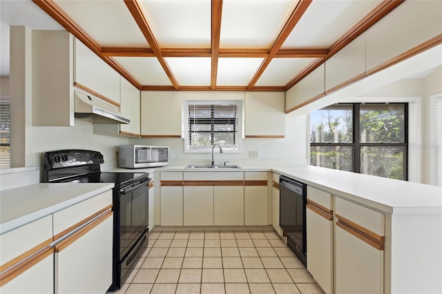 kitchen with sink, black appliances, exhaust hood, and plenty of natural light