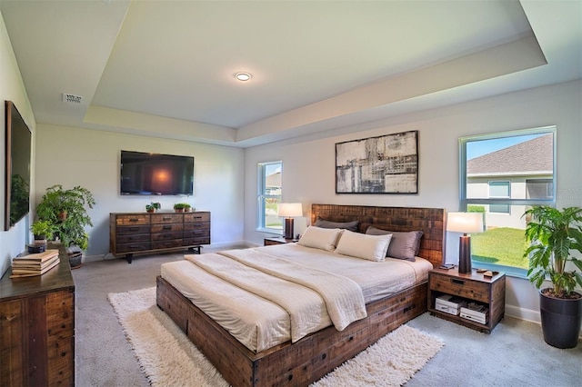 bedroom with a raised ceiling, multiple windows, and light colored carpet