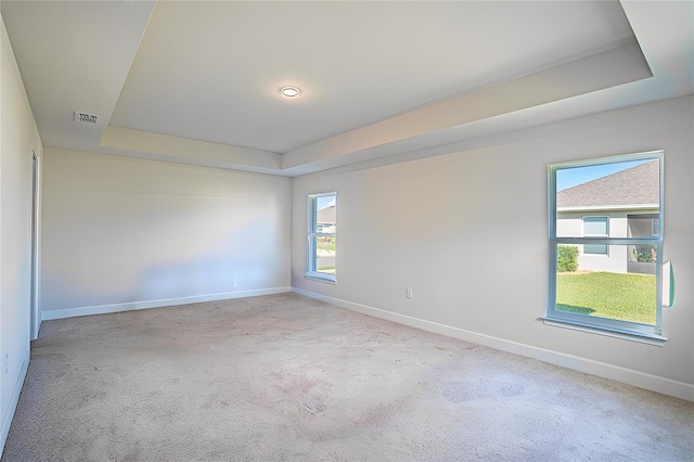 carpeted spare room with a tray ceiling and plenty of natural light