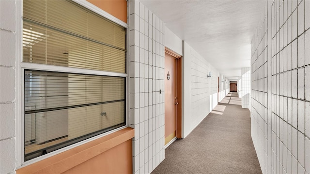 corridor with carpet floors and a package area